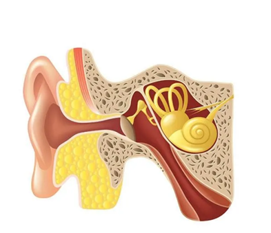 春节嗨翻天,你的“耳鼻喉”还好吗?“常规操作”竟然是误区? 春节嗨翻天,你的“耳鼻喉”还好吗?“常规操作”竟然是误区?